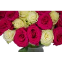 Bouquet of pink and white roses